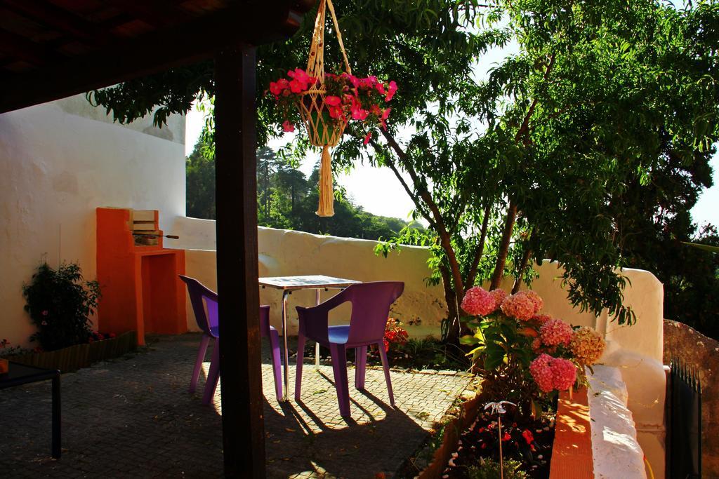Casas Do Patio Sem Cantigas 1