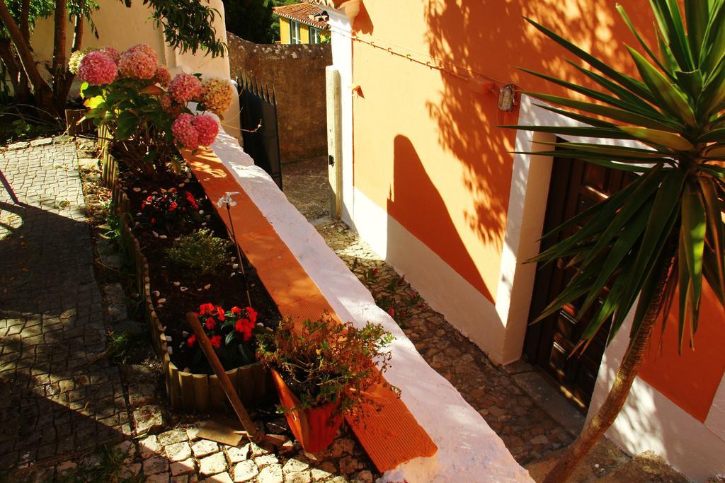 Casas Do Patio Sem Cantigas 1 *